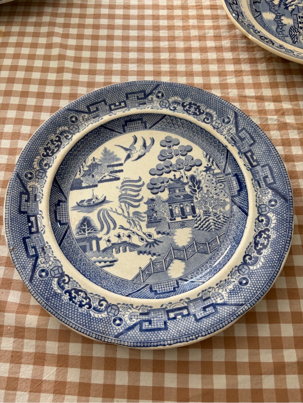 Blue and White Willow-Style Ceramic Plate
